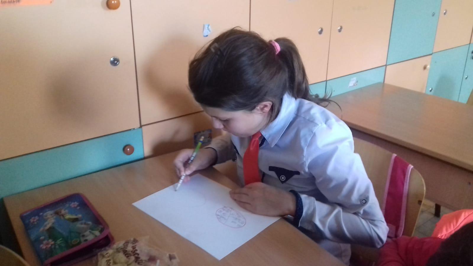 Voluntariat